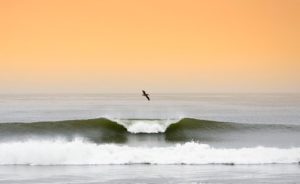 Motorhome Trips - Surf Trip Califórnia